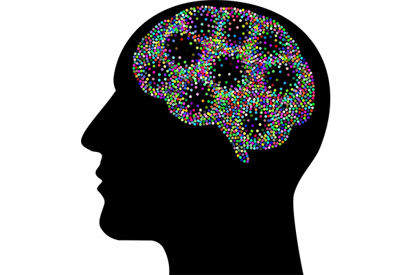 Mental Health Hub